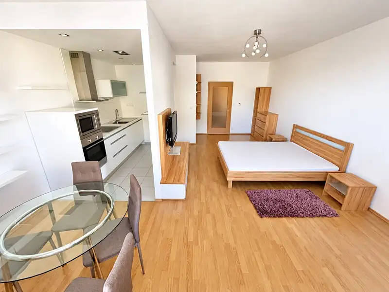 Pronájem bytu 1+kk 45 m²